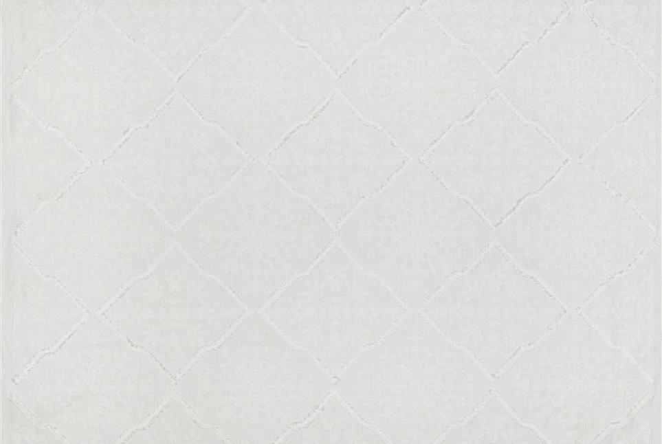 Aloisia 011
