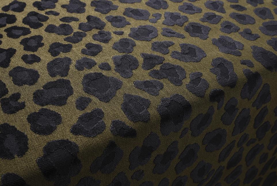 Leopatra 029