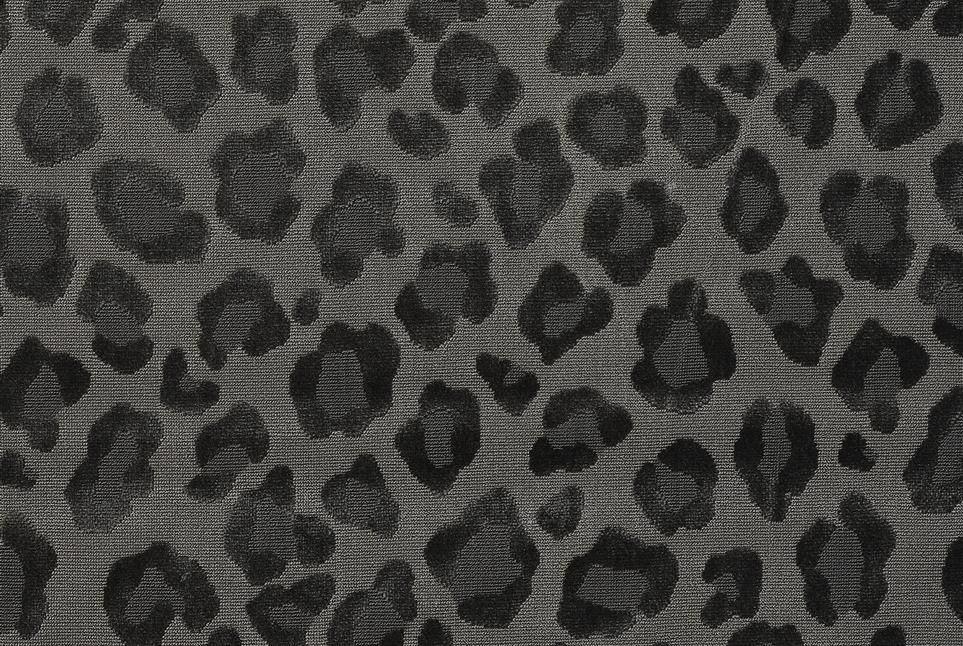 Leopatra 039
