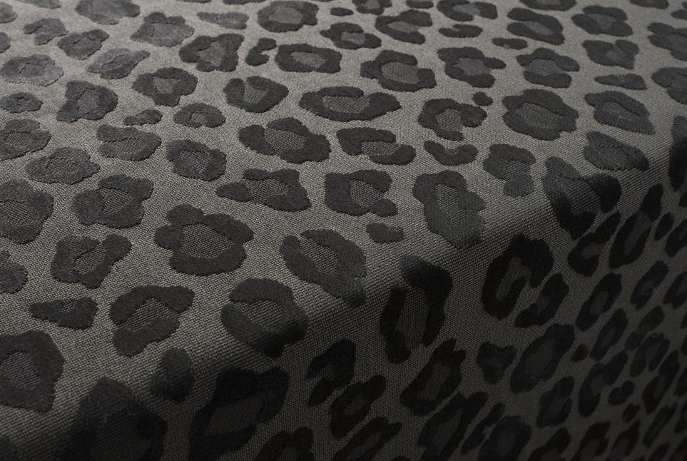 Leopatra 039