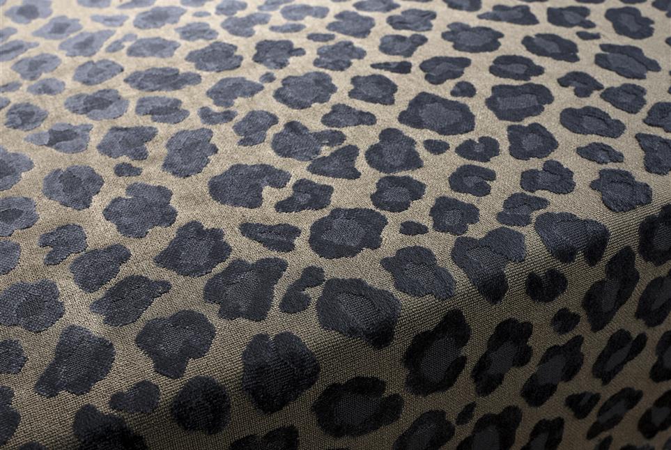 Leopatra 049