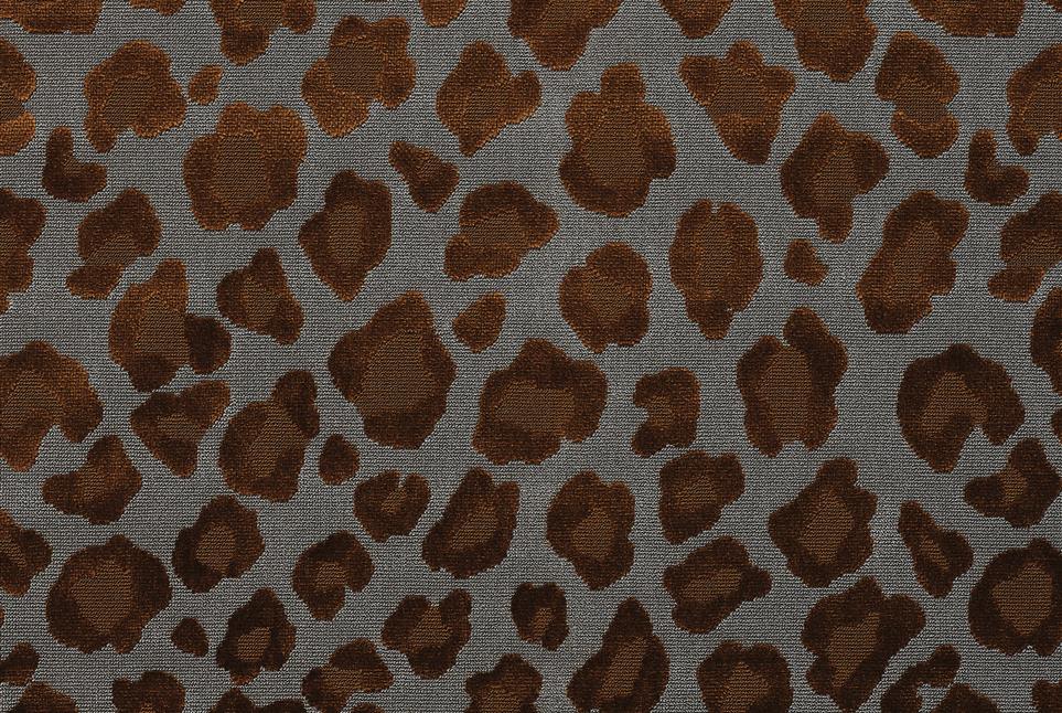 Leopatra 069