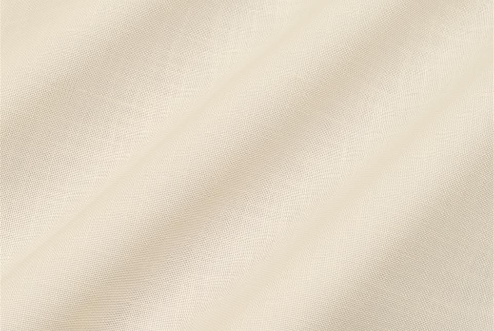 Ray 011