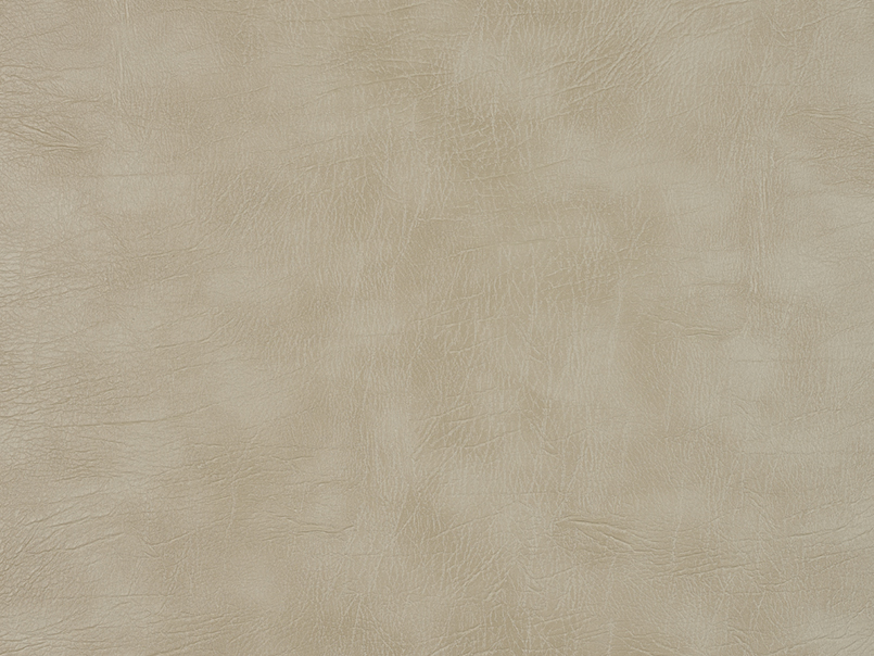 Ritzy 011
