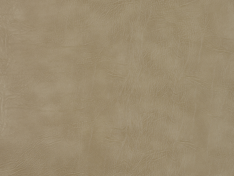 Ritzy 012