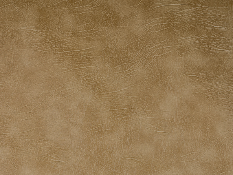 Ritzy 042