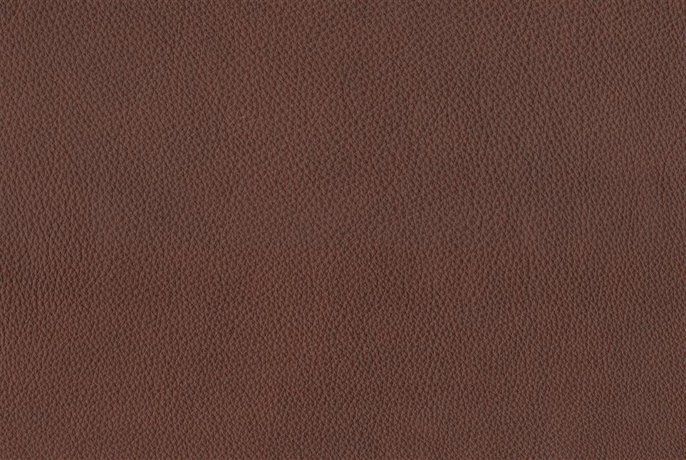 Rodeo 041
