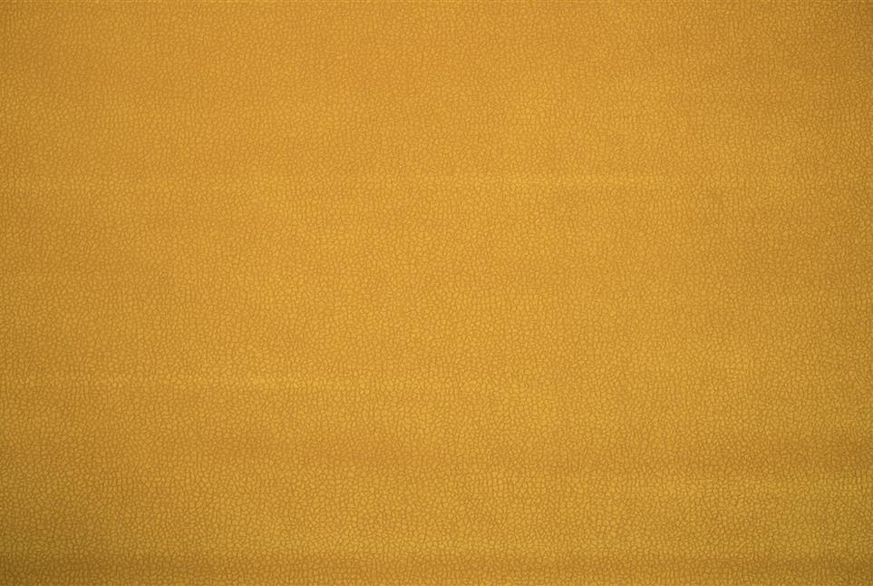 Vitalli  023