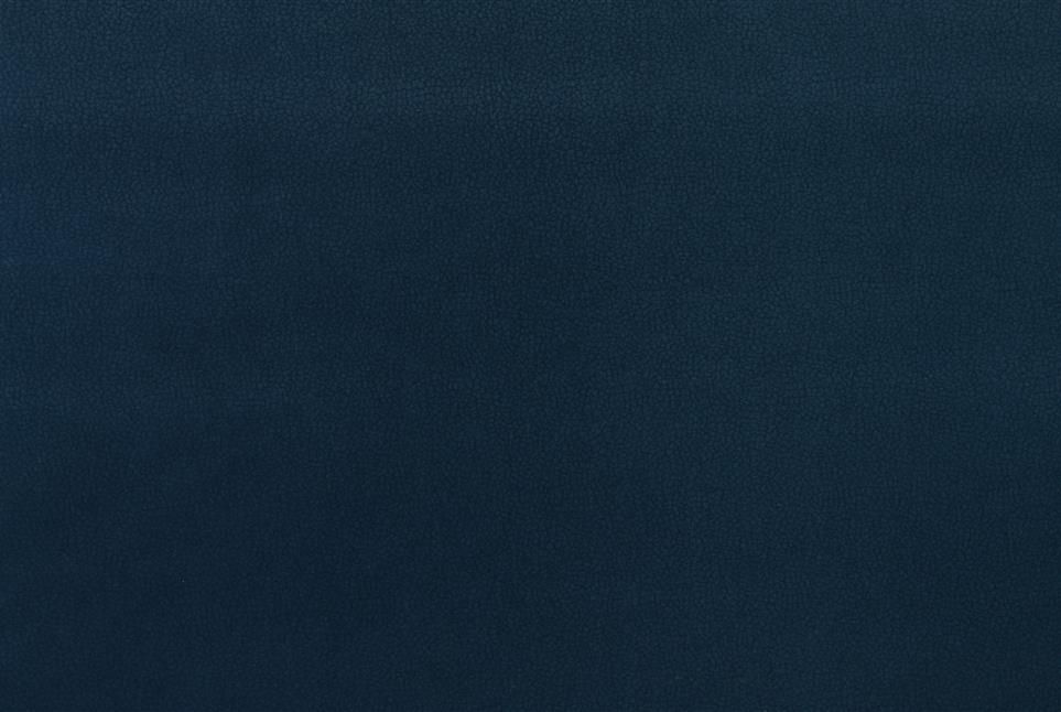 Vitalli  085