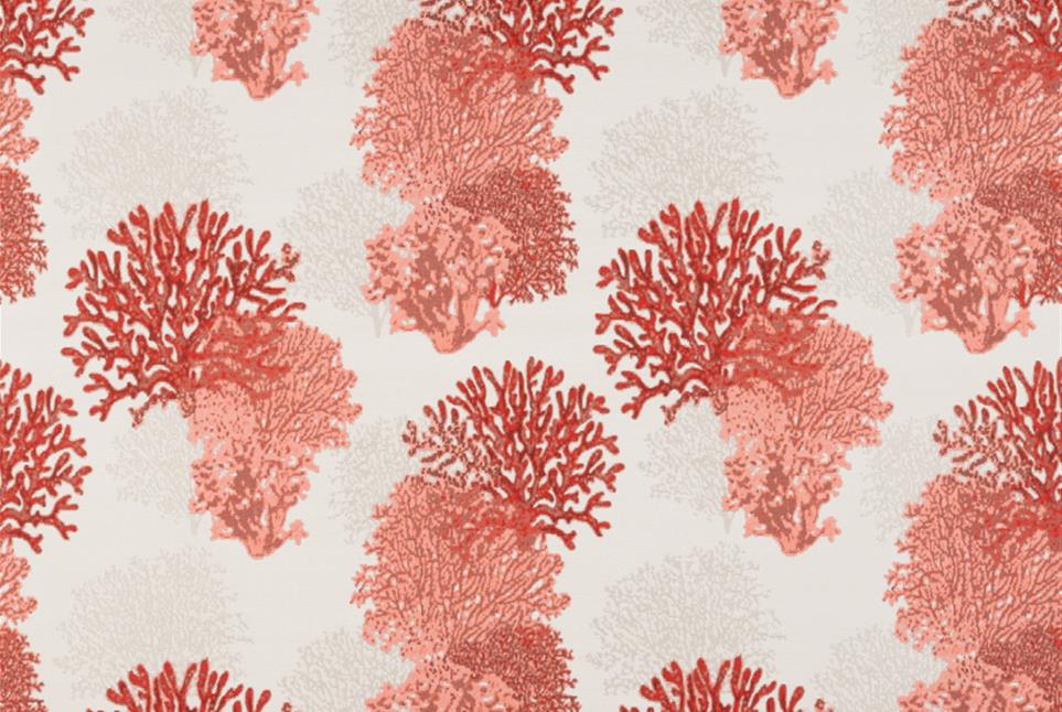 Corallo 059