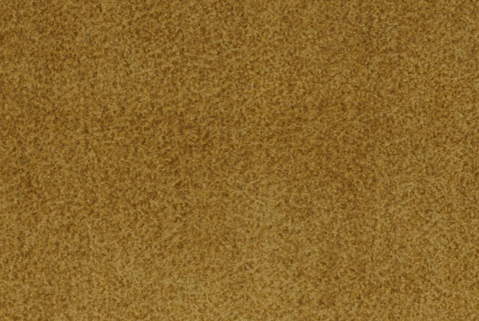 Dune 021