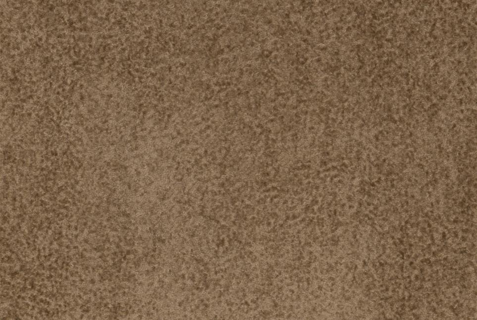 Dune 041