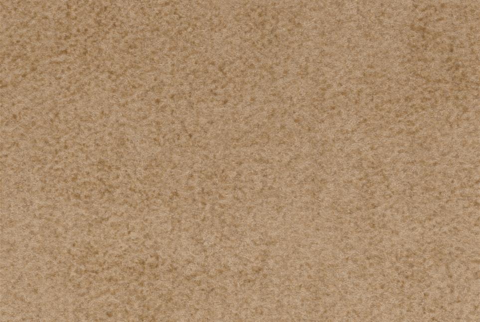 Dune 060