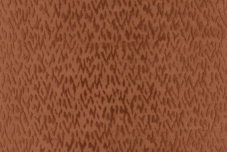 Eleganza 060