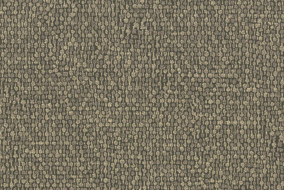 Finn 049