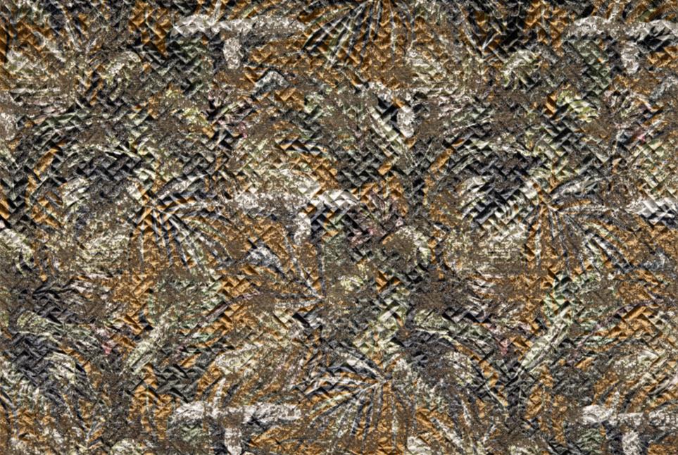 Jungle 028