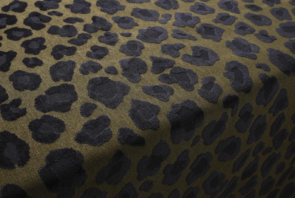 Leopatra 029