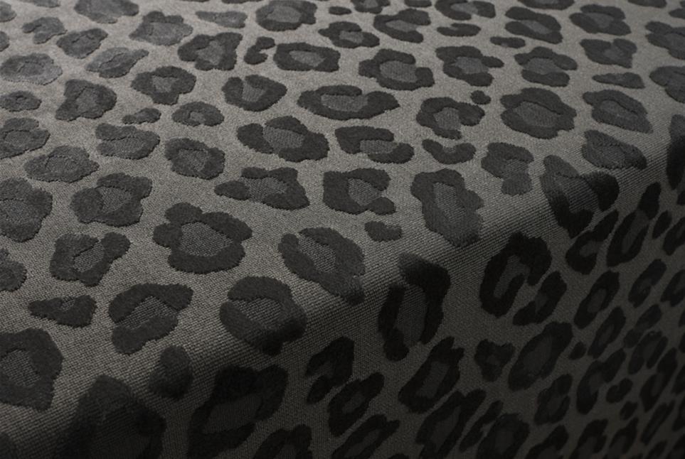 Leopatra 039