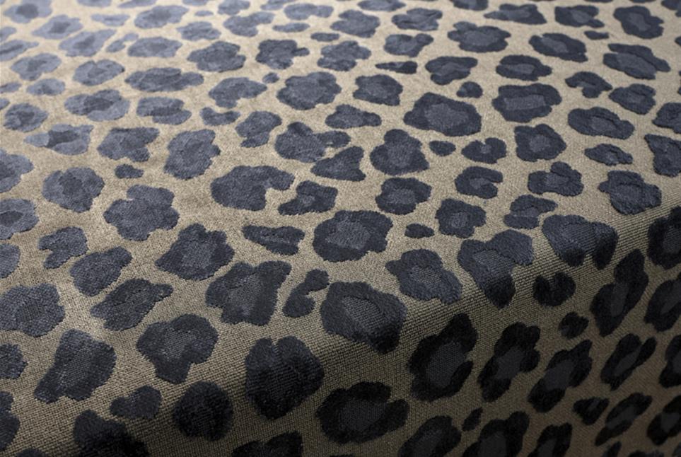 Leopatra 049