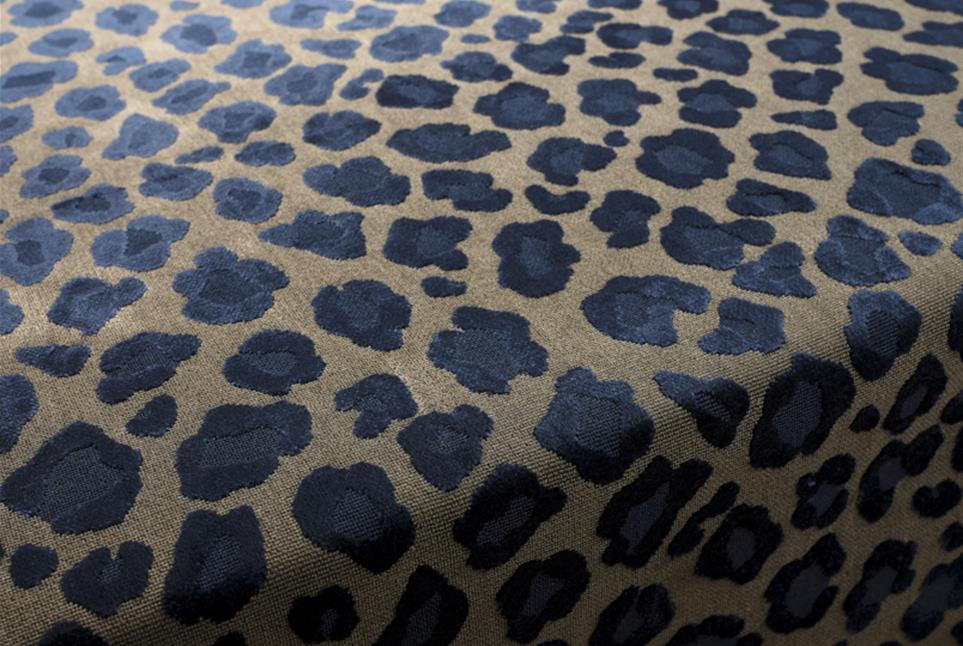 Leopatra 089