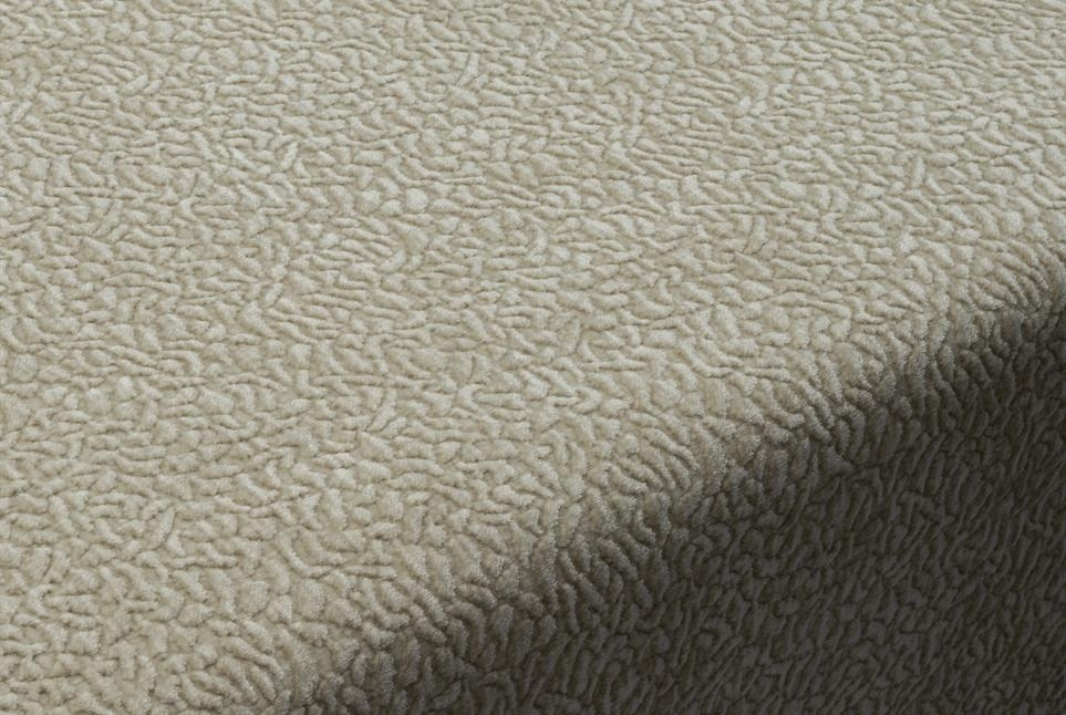 Lustre 010