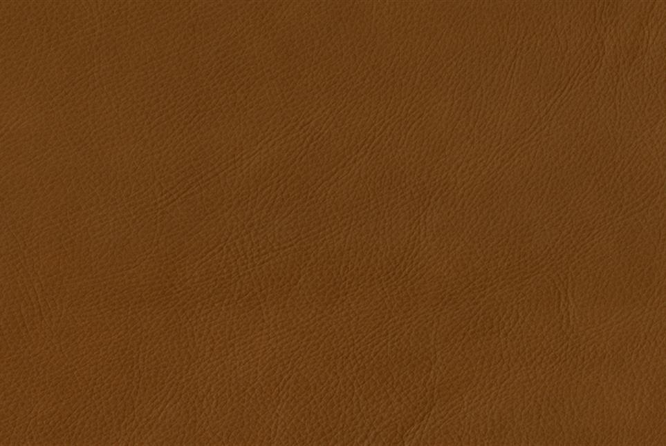 Ponderosa 040