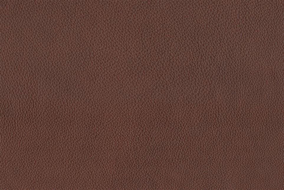 Rodeo 041
