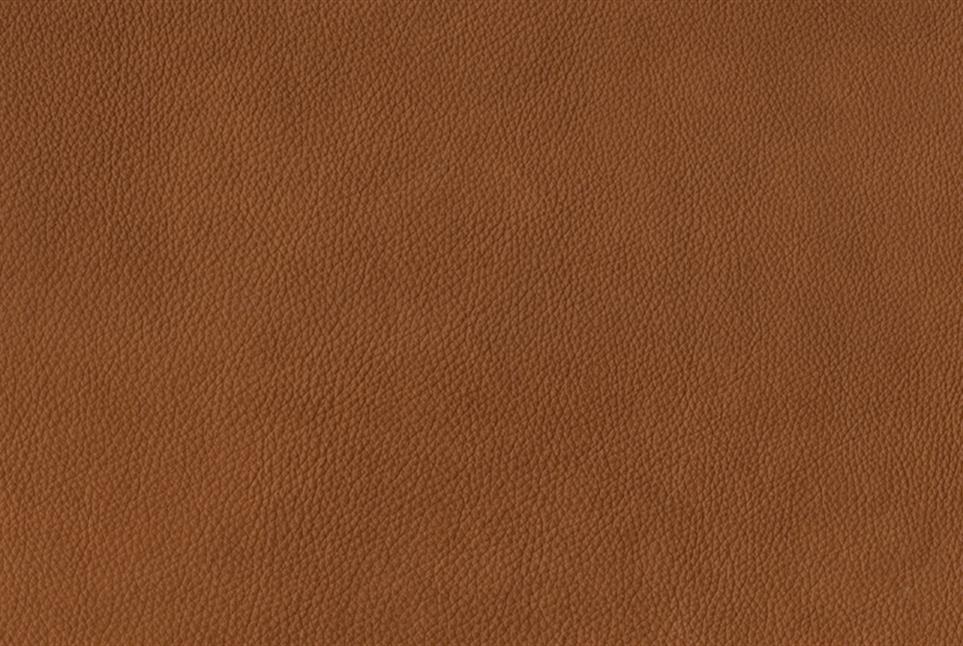 Rodeo 042