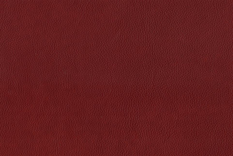 Rodeo 050
