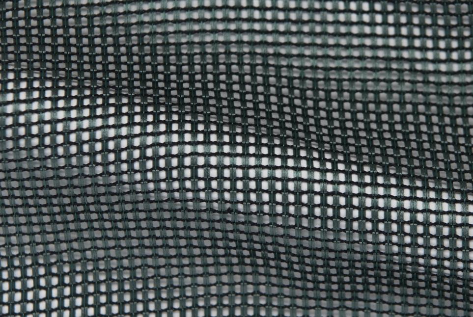 Sheen 031