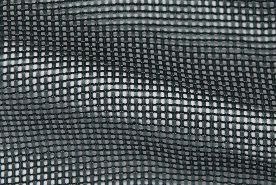 Sheen 031