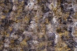 Aurea 049