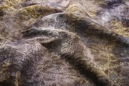 Aurea 049