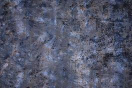 Aurea 089