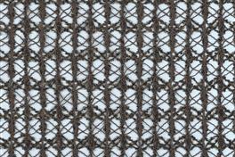 Lacey 040