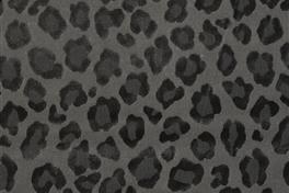 Leopatra 039