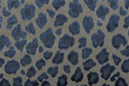 Leopatra 089