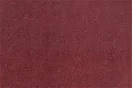 Patina 050