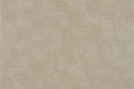 Ritzy 011