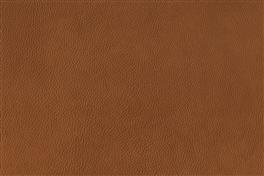 Rodeo 042