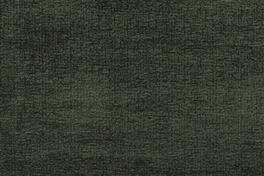 Terra 031