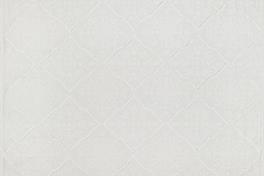 Aloisia 011