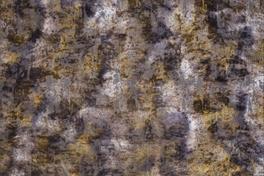 Aurea 049