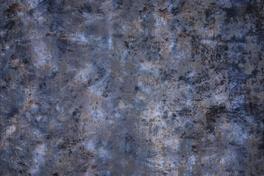 Aurea 089