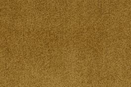 Dune 021