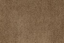 Dune 041