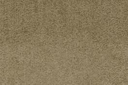 Dune 042