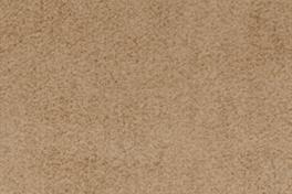 Dune 060