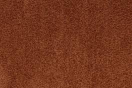 Dune 062