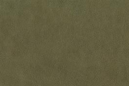 Patina